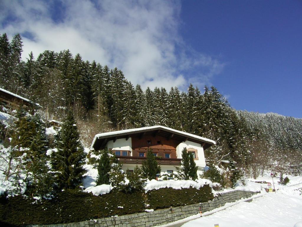 Weigl Apartment